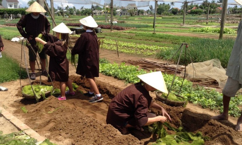 Hanoi Countryside Cycle Trip 1 Day Song Phuong Village